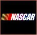 Nascar fans