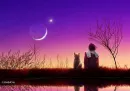 watching the moon