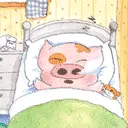 sleeping pig