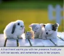 Friendship