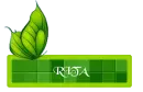 Green Butterfly With Name Rita