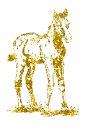 Golden Horse