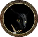 Black Cat