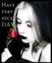Have a very nice day