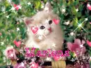 marlena