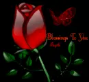Fayeth