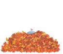 Happy Fall Y'all