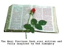 BIBLE