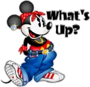 What's Up