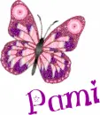 Pami butterfly