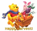 Winnie/Pooh Harvest