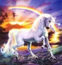majestic horse