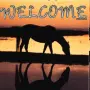 for all those horse lovers out there - like me!