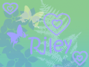 background riley