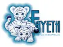 FAYETH Baby Tigers Cliff Bonamie 