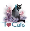 I Love Cats Rainbow Coffi