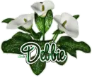 Debbie