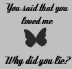 Why did you lie?