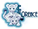 Baby Tigers CB Florence