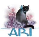 Sitting Pretty RC Ari