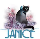 JANICE Sitting Pretty RC