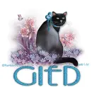 Sitting Pretty RC Gied