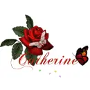 Butterfly name