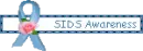 sids awareness