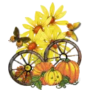 Fall