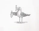 wingull,