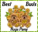 Best Buds - Hugs Pami