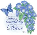 Butterflies with have a beautiful day - name