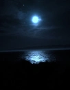 blue moon 