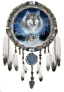 Caela