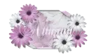 Allyana