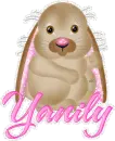 Yanily