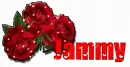 3 Roses : Jammy