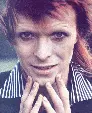 bowie