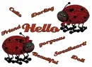 Hello ladybugs