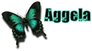 Aggela