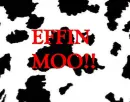 COW MOO