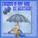 friends