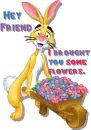 I brought you flowers