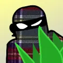 Tiny Plaid Ninjas