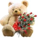 teddy bear