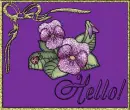 Hello