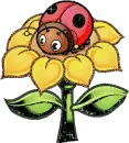 Bug