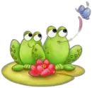 Frogs