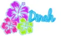Dinah