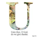 u